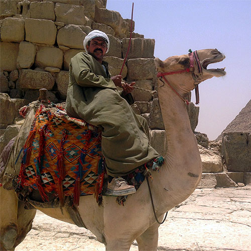 Camel Rider Egypt Tour